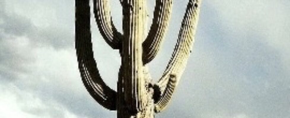 F21BE340-9E4B-445E-B0AE-CD86DAB58AF5_4_5005_c